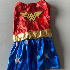 Dog Wonder Woman costume.